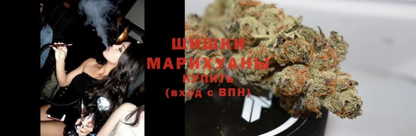 мескалин Ельня