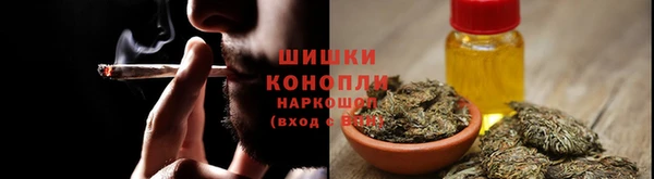 прущие крисы Заводоуковск