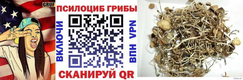 Купить где  Пугачёв  Галлюциногенные грибы MAGIC MUSHROOMS 